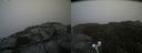 ./images/calvert/buxton2/20210818/buxton220210818_131002M.jpg