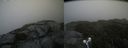 ./images/calvert/buxton2/20210818/buxton220210818_134503M.jpg