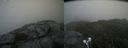 ./images/calvert/buxton2/20210818/buxton220210818_135502M.jpg