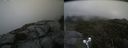 ./images/calvert/buxton2/20210818/buxton220210818_140003M.jpg