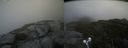 ./images/calvert/buxton2/20210818/buxton220210818_141503M.jpg