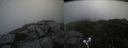 ./images/calvert/buxton2/20210818/buxton220210818_142002M.jpg