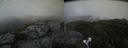 ./images/calvert/buxton2/20210818/buxton220210818_174503M.jpg