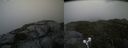 ./images/calvert/buxton2/20210818/buxton220210818_181002M.jpg