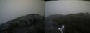 ./images/calvert/buxton2/20210819/buxton220210819_065003M.jpg