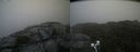 ./images/calvert/buxton2/20210819/buxton220210819_122503M.jpg