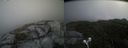 ./images/calvert/buxton2/20210819/buxton220210819_130503M.jpg
