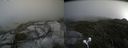 ./images/calvert/buxton2/20210819/buxton220210819_144502M.jpg