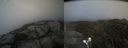 ./images/calvert/buxton2/20210819/buxton220210819_194502M.jpg
