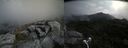 ./images/calvert/buxton2/20210820/buxton220210820_115503M.jpg