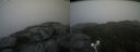 ./images/calvert/buxton2/20210821/buxton220210821_140003M.jpg