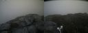 ./images/calvert/buxton2/20210821/buxton220210821_145502M.jpg