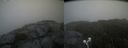 ./images/calvert/buxton2/20210821/buxton220210821_162503M.jpg