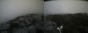 ./images/calvert/buxton2/20210821/buxton220210821_164503M.jpg