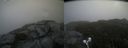 ./images/calvert/buxton2/20210822/buxton220210822_131503M.jpg