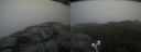 ./images/calvert/buxton2/20210822/buxton220210822_140003M.jpg