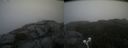 ./images/calvert/buxton2/20210822/buxton220210822_140502M.jpg