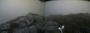 ./images/calvert/buxton2/20210822/buxton220210822_144502M.jpg