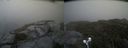 ./images/calvert/buxton2/20210822/buxton220210822_161502M.jpg