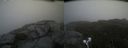 ./images/calvert/buxton2/20210822/buxton220210822_162502M.jpg