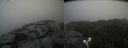 ./images/calvert/buxton2/20210822/buxton220210822_175502M.jpg