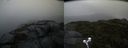 ./images/calvert/buxton2/20210825/buxton220210825_193502M.jpg