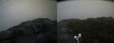 ./images/calvert/buxton2/20210826/buxton220210826_072503M.jpg