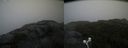 ./images/calvert/buxton2/20210826/buxton220210826_103503M.jpg