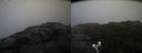 ./images/calvert/buxton2/20210826/buxton220210826_104003M.jpg