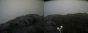 ./images/calvert/buxton2/20210826/buxton220210826_110503M.jpg