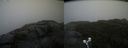 ./images/calvert/buxton2/20210826/buxton220210826_115002M.jpg