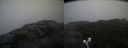 ./images/calvert/buxton2/20210826/buxton220210826_120502M.jpg