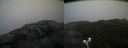 ./images/calvert/buxton2/20210826/buxton220210826_123503M.jpg