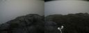 ./images/calvert/buxton2/20210826/buxton220210826_125003M.jpg