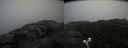 ./images/calvert/buxton2/20210826/buxton220210826_131503M.jpg