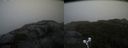 ./images/calvert/buxton2/20210826/buxton220210826_132003M.jpg