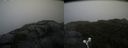 ./images/calvert/buxton2/20210826/buxton220210826_132503M.jpg