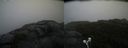 ./images/calvert/buxton2/20210826/buxton220210826_134503M.jpg