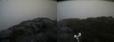 ./images/calvert/buxton2/20210826/buxton220210826_135003M.jpg