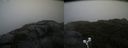 ./images/calvert/buxton2/20210826/buxton220210826_141002M.jpg