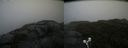 ./images/calvert/buxton2/20210826/buxton220210826_141502M.jpg