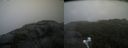 ./images/calvert/buxton2/20210826/buxton220210826_155003M.jpg