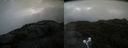 ./images/calvert/buxton2/20210827/buxton220210827_092503M.jpg