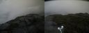 ./images/calvert/buxton2/20210827/buxton220210827_094503M.jpg