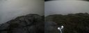 ./images/calvert/buxton2/20210827/buxton220210827_095003M.jpg