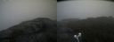 ./images/calvert/buxton2/20210827/buxton220210827_114503M.jpg