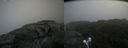 ./images/calvert/buxton2/20210827/buxton220210827_132503M.jpg