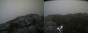 ./images/calvert/buxton2/20210827/buxton220210827_141003M.jpg