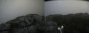 ./images/calvert/buxton2/20210827/buxton220210827_142003M.jpg