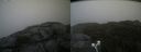 ./images/calvert/buxton2/20210827/buxton220210827_145003M.jpg